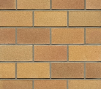 Muhr DF 06 Hellbraun-bunt glatt